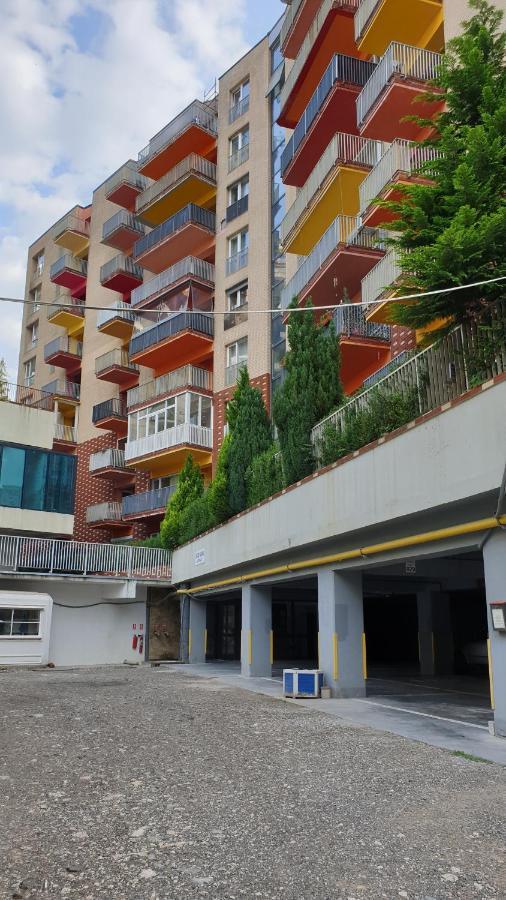 Criss Apartament シナヤ エクステリア 写真